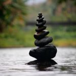 Seta, Terra e Acqua: Come Trovare Armonia ed Equilibrio nel Tuo Stile di Vita