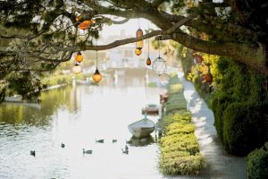 Scopri i Parchi più Incantevoli di Venezia: Un Viaggio tra Natura e Bellezza