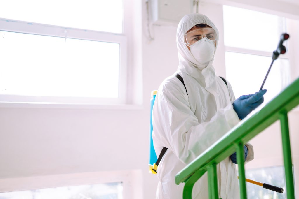 Come prevenire l'infestazione di tarli in casa?